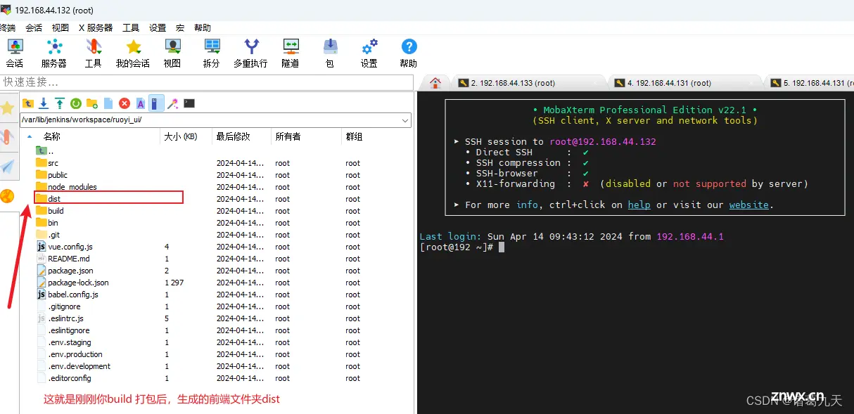 Jenkins配置前端自动打包部署（若依项目）