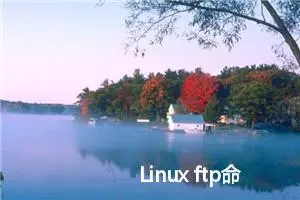 Linux ftp命令教程：如何使用ftp命令进行文件传输（附实例详解和注意事项）