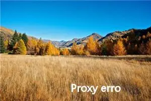 Proxy error: Could not proxy request 解决方法