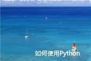 如何使用Python从0训练自己的AI模型