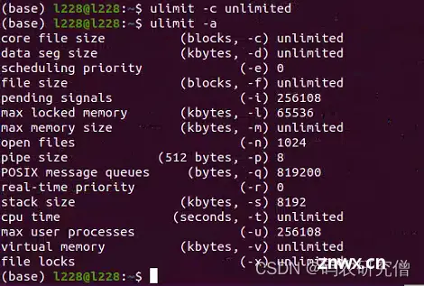 详细分析Linux中的core dump异常（附 Demo排查）