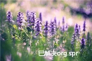 已解决org.springframework.web.HttpRequestMethodNotSupportedException异常的正确解决方法，亲测有效！！！