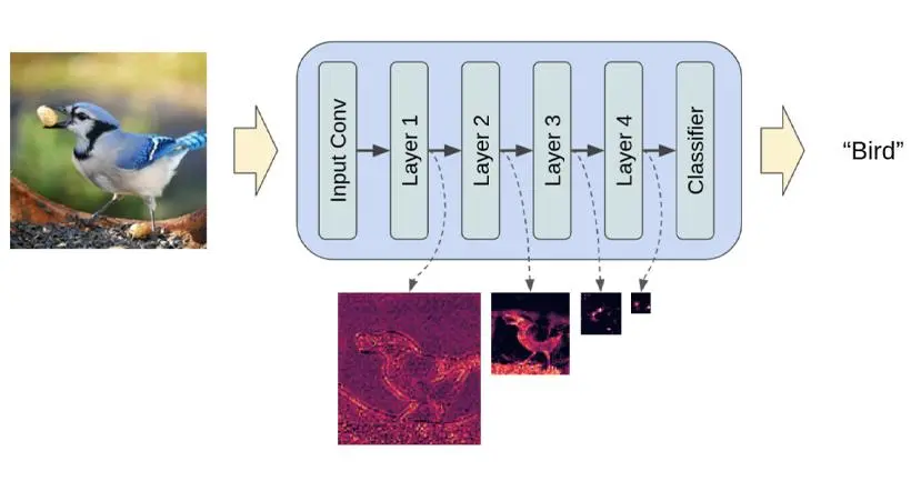 Extricating the most important attributes by using convolutional neural networks