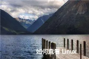 如何查看 Linux 系统的网络连接状态？