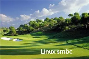 Linux smbclient命令教程：如何使用smbclient命令访问Windows共享资源(附案例详解和注意事项)