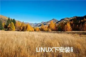 LINUX下安装libreoffice程序