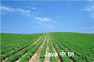 Java 中 trim() 方法是什么？有什么用？