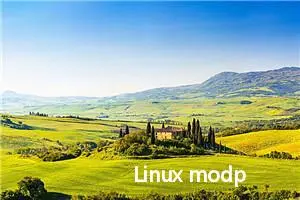 Linux modprobe命令教程：如何智能添加和删除Linux内核模块(附实例详解和注意事项)