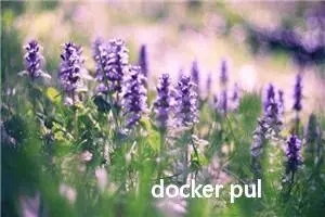 docker pull 镜像报错: missing signature key