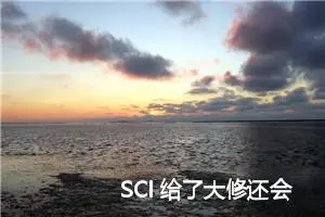 SCI 给了大修还会被拒吗？看了这篇真的懂了