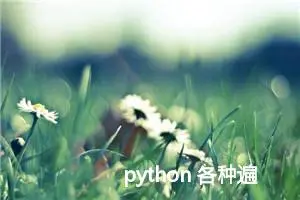 python 各种遍历文件夹的方法