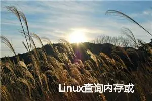 Linux查询内存或CPU占用最多的几个进程