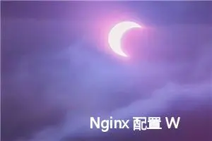 Nginx 配置 WebSocket 代理