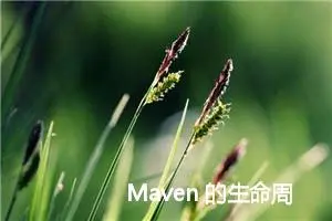 Maven 的生命周期详解