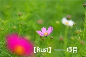 【Rust】——项目实例：——命令行实例（一）