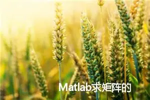 Matlab求矩阵的逆，3种常用方法总结