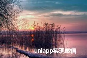 uniapp实现微信小程序支付（前端）