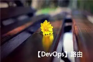 【DevOps】路由与路由器详细介绍：原理、功能、类型及应用场景