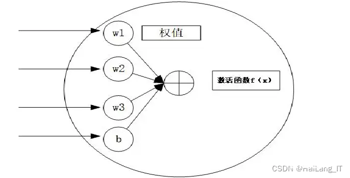 毕业设计选题-基于深度学习的鸟类识别目标检测系统 人工智能 机器学习 卷积神经网络