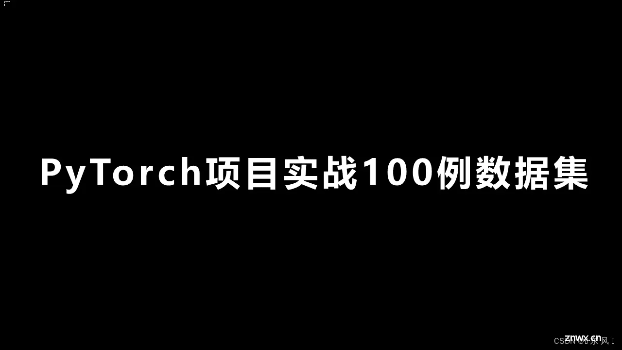 PyTorch深度学习项目实战100例数据集