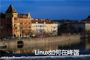 Linux如何在终端查询显卡信息