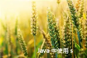 Java 中使用 sort() 方法排序：从基本原理到多种用法全面总结；sort()函数的使用