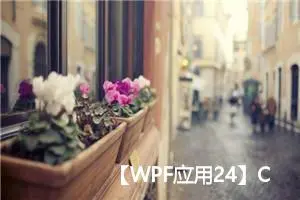 【WPF应用24】C#中的Image控件详解与应用示例