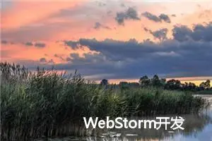 WebStorm开发插件：提升开发效率的利器