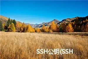 SSH公钥(SSH Key)生成方法