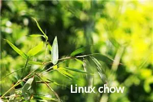 Linux chown命令教程：如何改变文件或目录的所有者和组(附案例详解和注意事项)