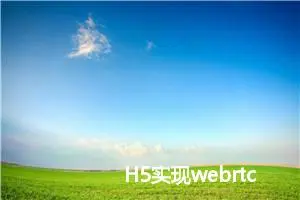 H5实现webrtc流播放