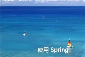 使用 Spring 实现控制反转和依赖注入 