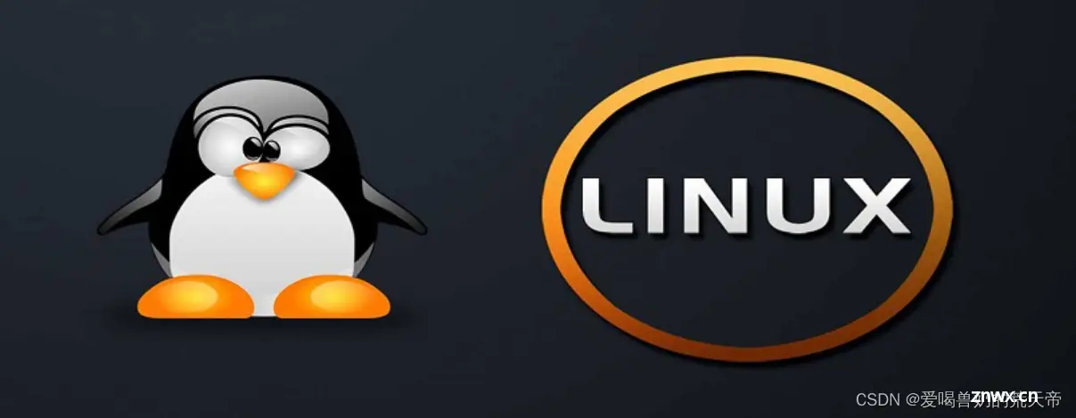 【Linux终端探险】：从入门到熟练，玩转基础命令的秘密（一）