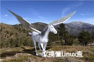 一文搞懂Linux查看log日志常用命令