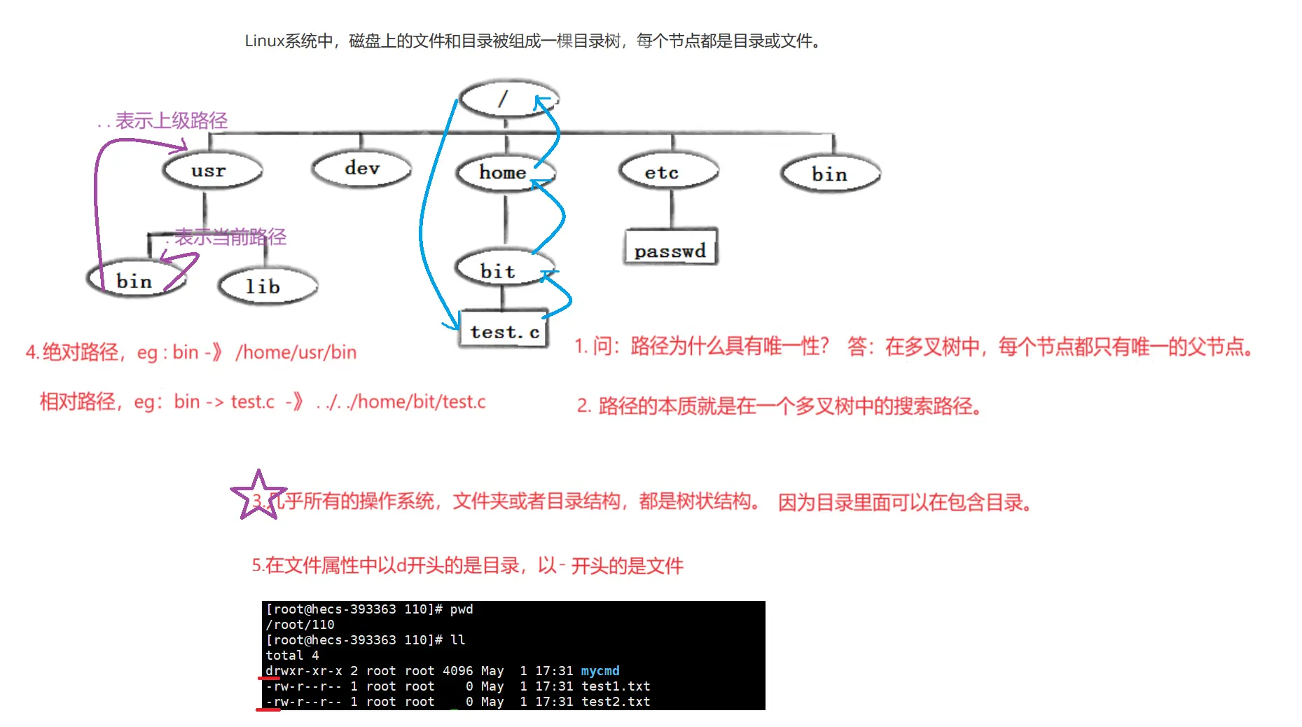 【Linux】常用命令大揭秘，轻松驾驭终端世界