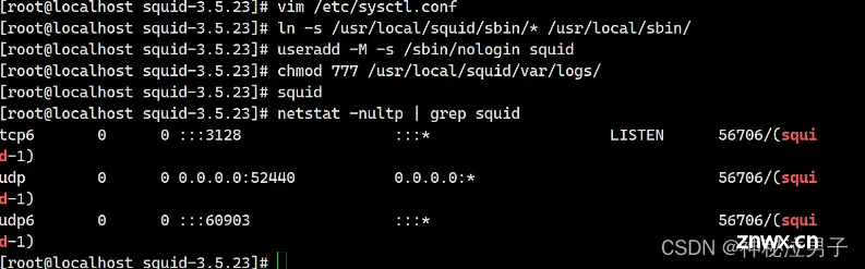 Linux[高级管理]——Squid代理服务器的部署和应用(传统模式详解)