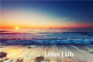 Linux | Ubuntu 20.04 | 通过命令行安装Google Chrome浏览器