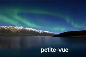 petite-vue 基本使用指南 