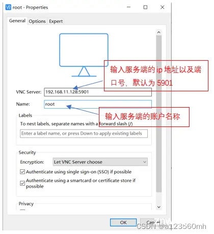 通过VNC远程连接银河麒麟V10-SP1服务器系统桌面