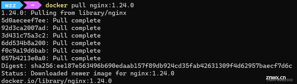 手把手教你在Docker中安装Nginx（图文超详细）