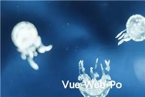 Vue-Web-Portal: 一款高效、灵活的企业级门户框架