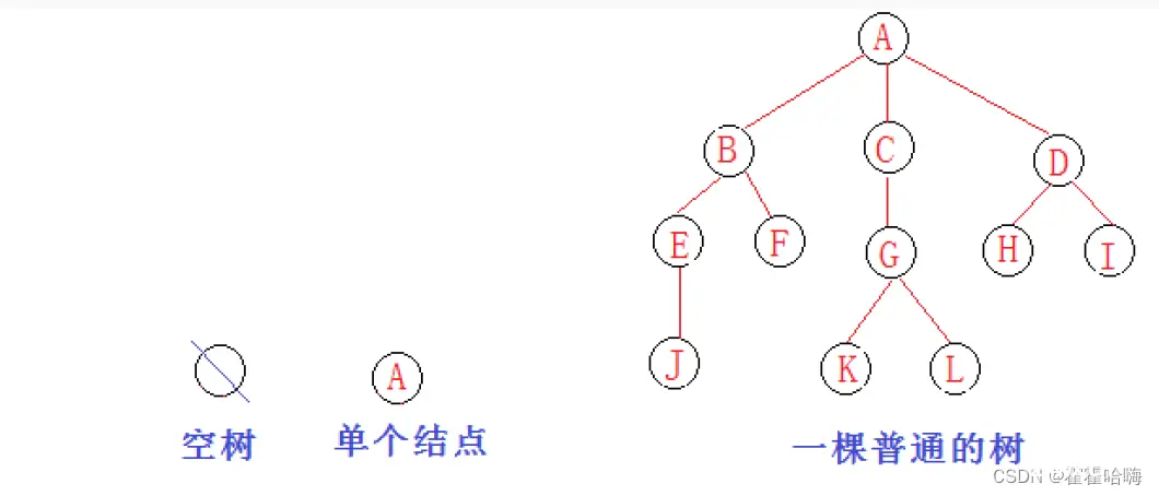 【C/数据结构与算法】：树和二叉树