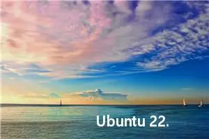 Ubuntu 22.04 安装 ROCm6.0教程+踩坑