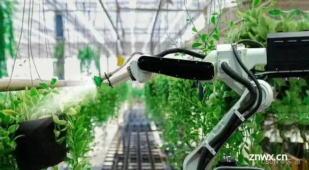[人工智能] AI为农业赋能：智能灌溉系统