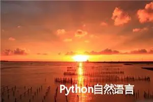 Python自然语言处理：NLTK入门指南