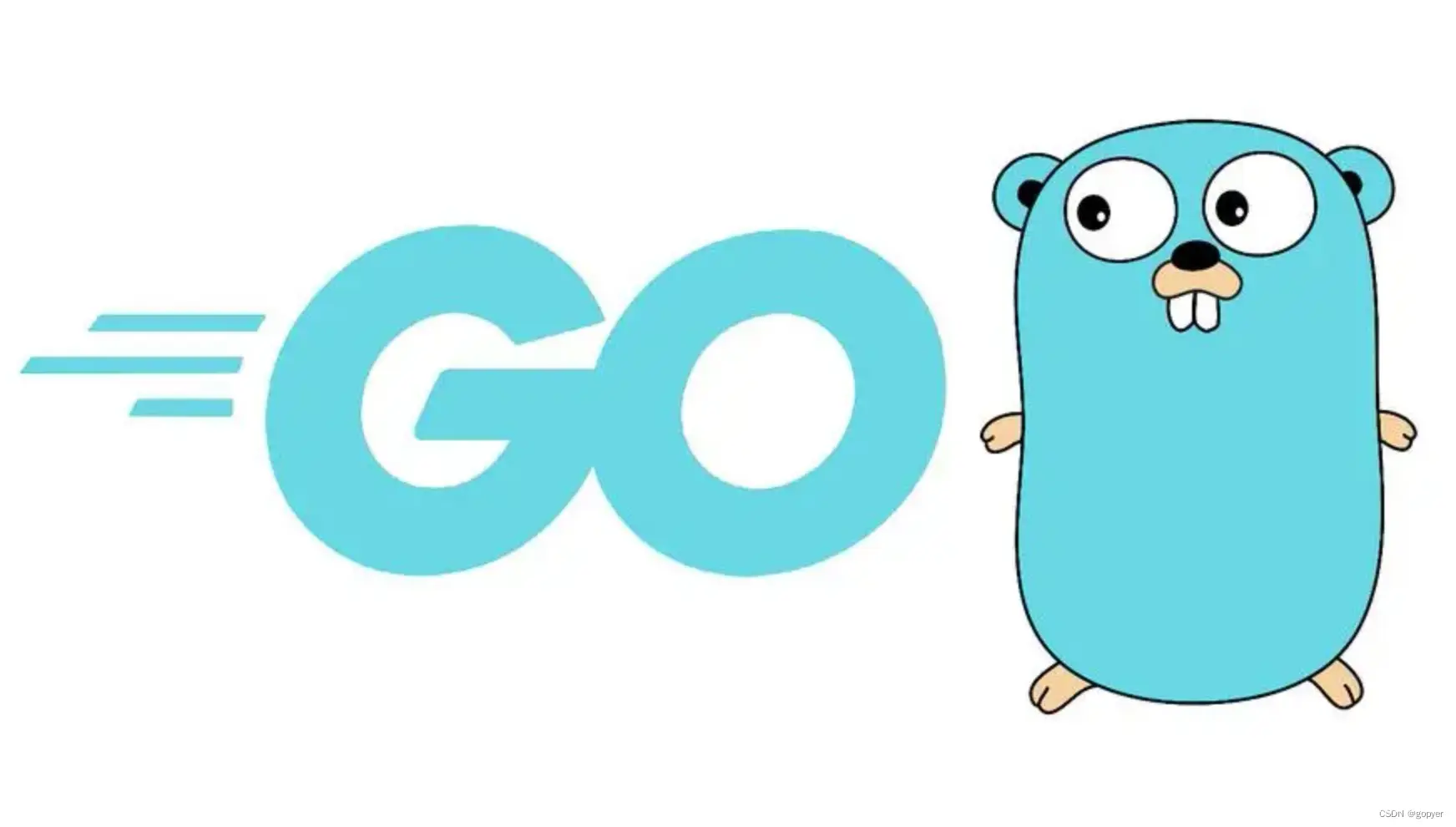 十分钟带你入门Go语言(Golang)开发