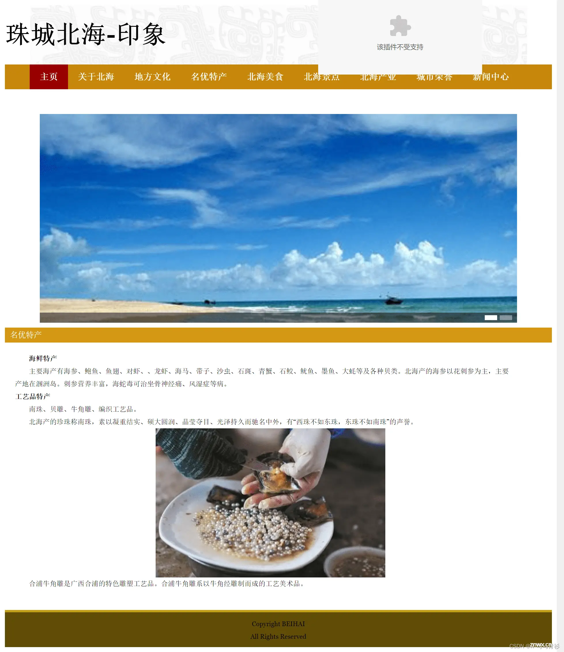 HTML网页制作——广西北海家乡旅游景点 10页 DIV布局个人介绍网页模板代码 DW个人网站制作成品 web网页制作与实现