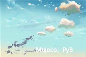 Mujoco、PyBullet、ISAAC以及其他模拟器（如V-REP、Webots、Gazebo）、Adams、Simscape