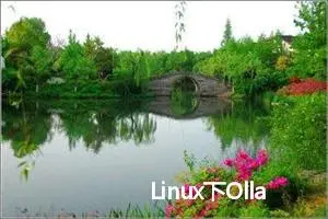 Linux下Ollama命令 