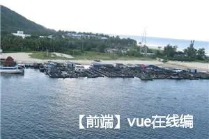 【前端】vue在线编辑器